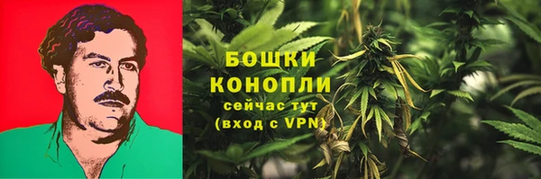 стаф Белокуриха