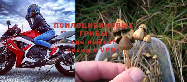 эйфоретик Беломорск