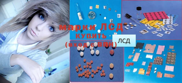 эйфоретик Белая Холуница