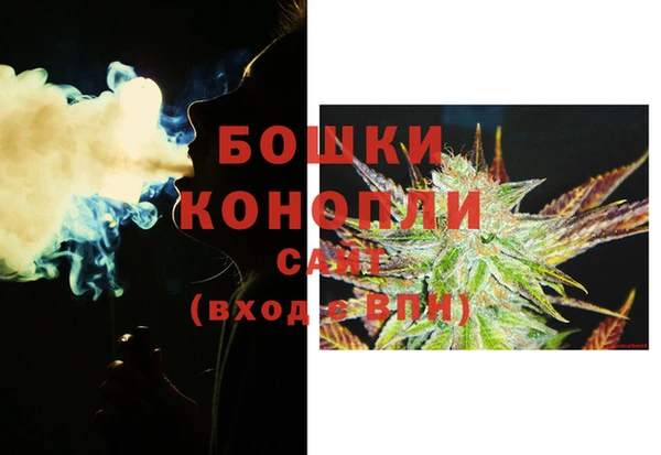 стаф Белокуриха