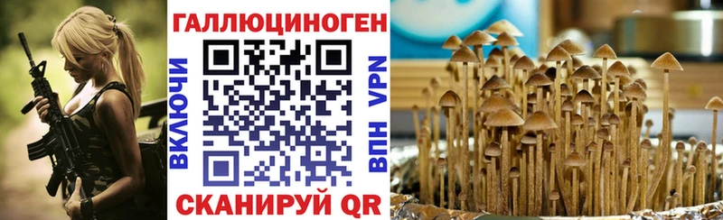 где найти   Городовиковск  ссылка на мегу рабочий сайт  Галлюциногенные грибы Psilocybine cubensis 